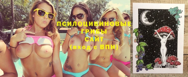 ГАЛЛЮЦИНОГЕННЫЕ ГРИБЫ Алексин