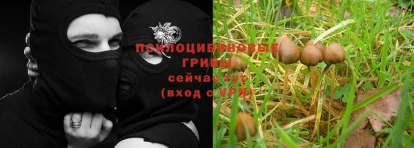 бошки Абинск
