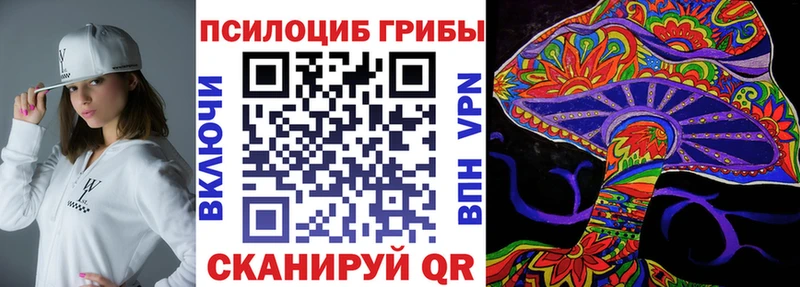 Галлюциногенные грибы Psilocybe  Топки 