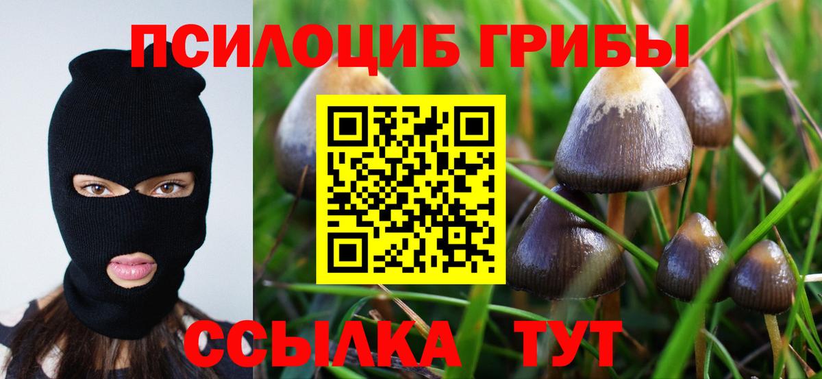 Галлюциногенные грибы ЛСД Топки