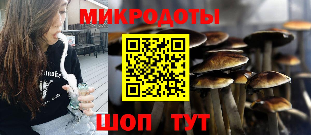 Топки  Псилоцибиновые грибы Psilocybe  Вход с VPN 